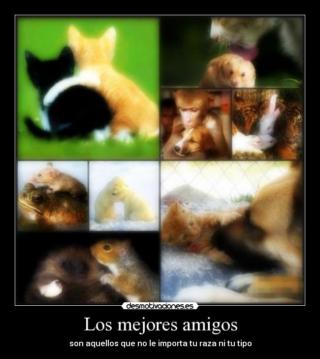 Los mejores amigos -
