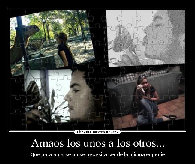 Amaos los unos a los otros... -