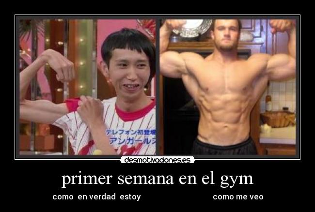 primer semana en el gym -