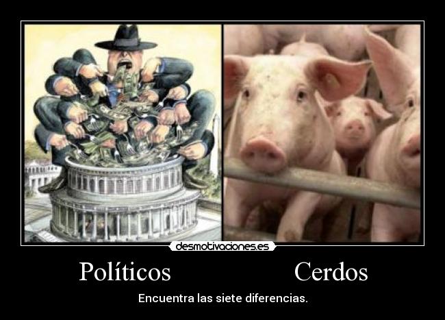 Políticos                  Cerdos - 