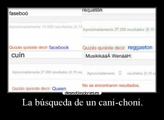 La búsqueda de un cani-choni. -