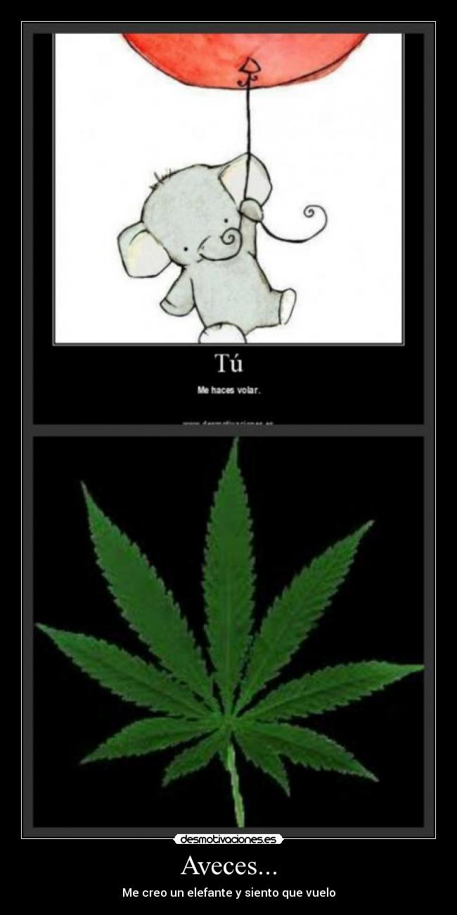 Aveces... - Me creo un elefante y siento que vuelo