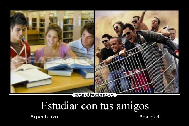 Estudiar con tus amigos - Expectativa                                                                      Realidad