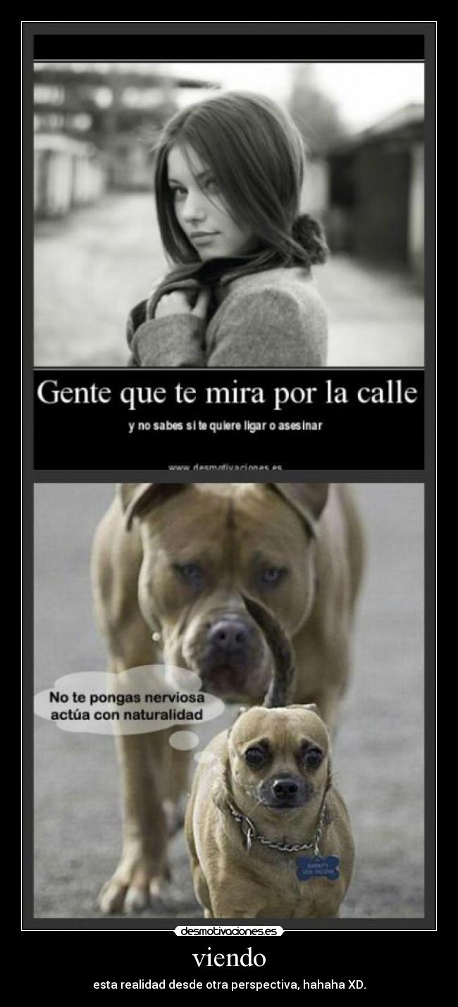 viendo - esta realidad desde otra perspectiva, hahaha XD.