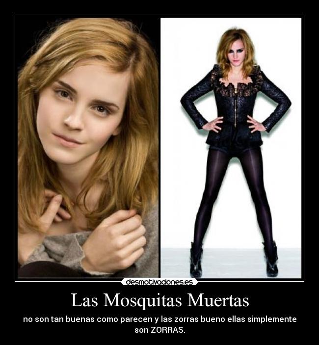 Las Mosquitas Muertas - no son tan buenas como parecen y las zorras bueno ellas simplemente son ZORRAS.