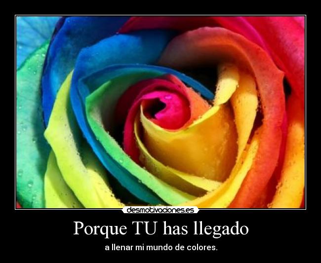 Porque TU has llegado - 