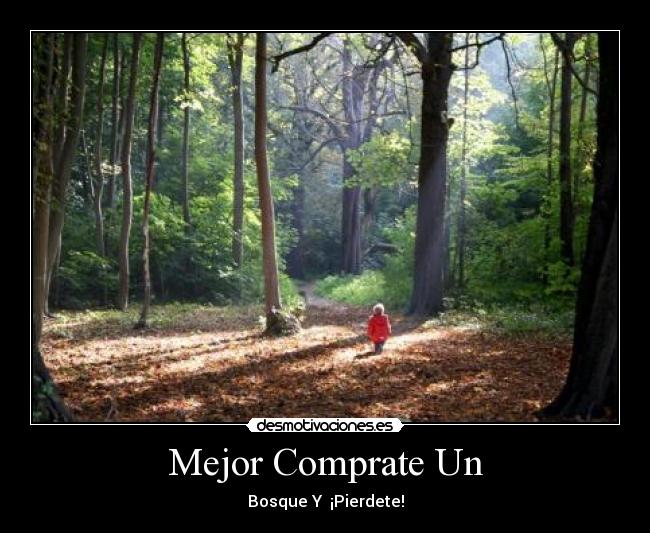 carteles pierdetee desmotivaciones