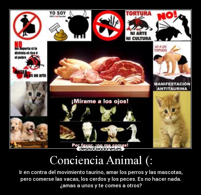 Conciencia Animal (: -