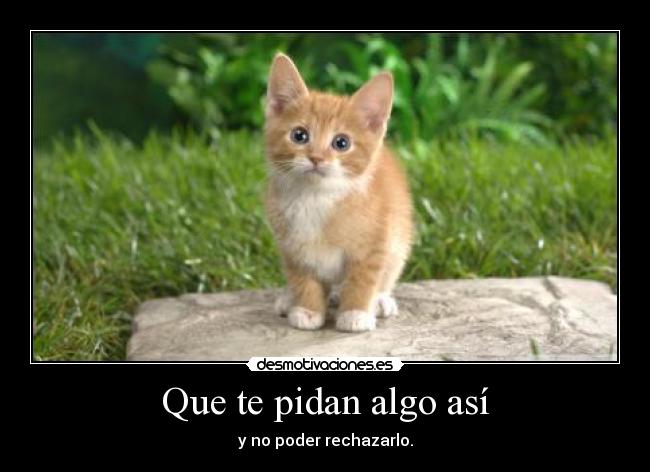 Que te pidan algo así -