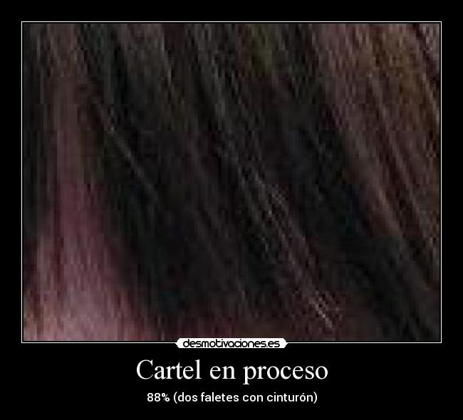 Cartel en proceso - 88% (dos faletes con cinturón)