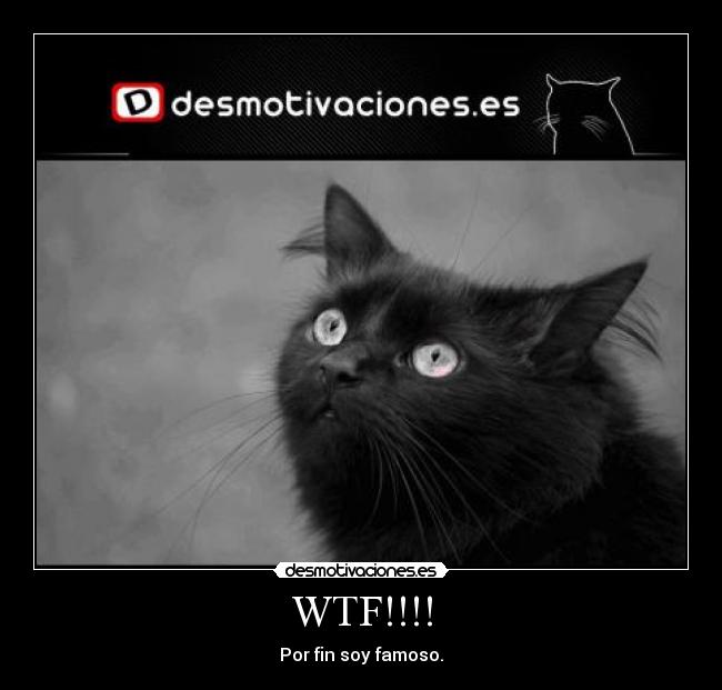 WTF!!!! - Por fin soy famoso.