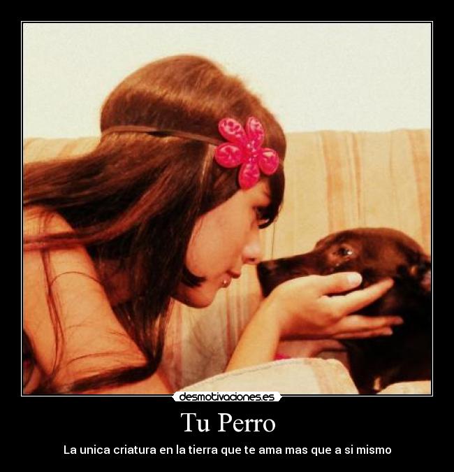 carteles dayii desmotivaciones