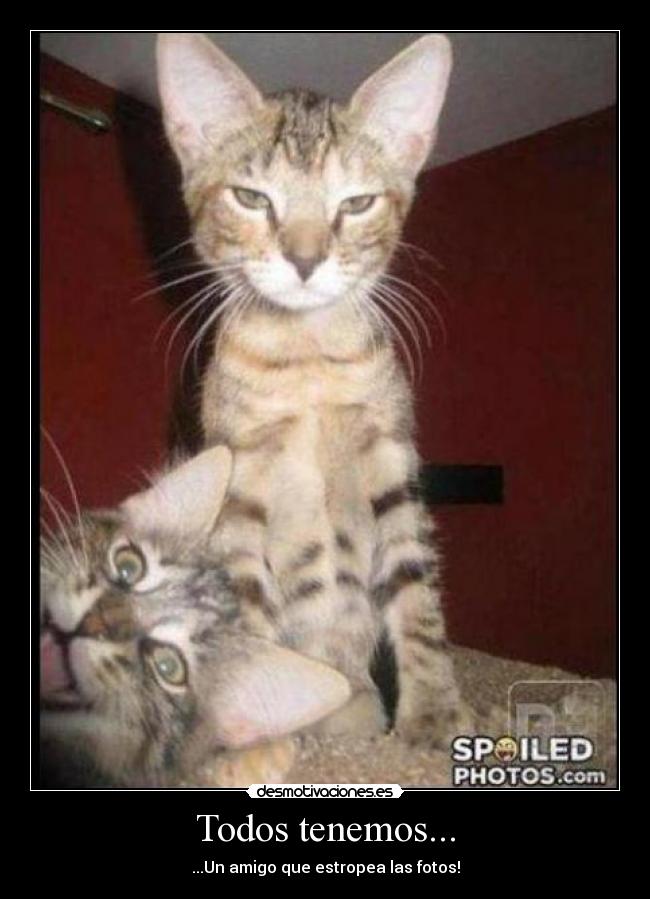 Todos tenemos... - ...Un amigo que estropea las fotos!
