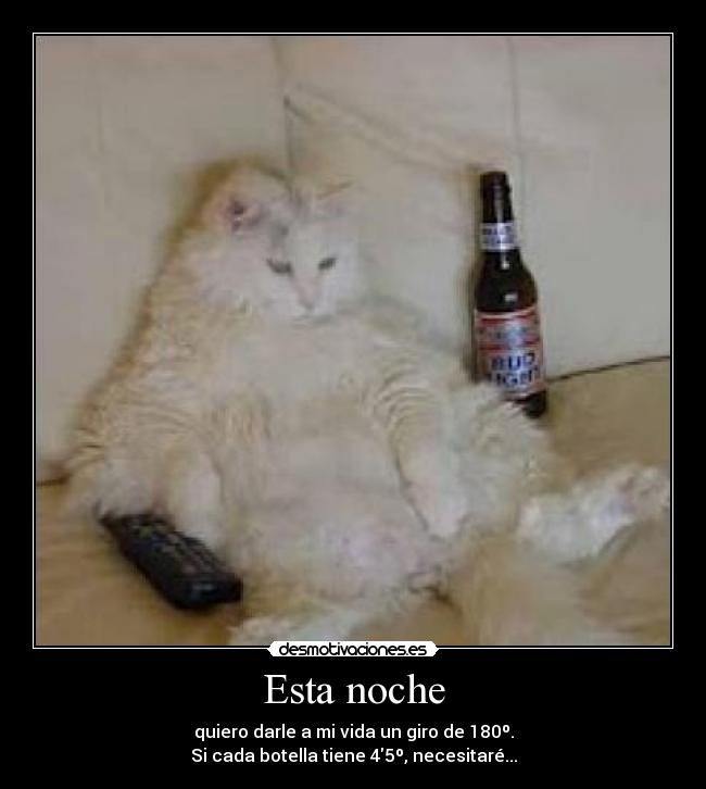 Esta noche - quiero darle a mi vida un giro de 180º.
Si cada botella tiene 45º, necesitaré...