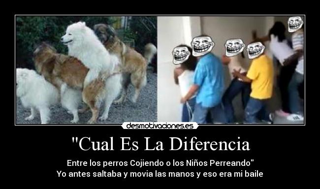 Cual Es La Diferencia - Entre los perros Cojiendo o los Niños Perreando
Yo antes saltaba y movia las manos y eso era mi baile
