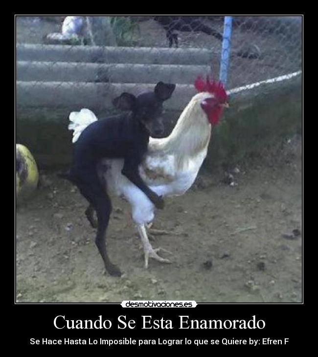 Cuando Se Esta Enamorado - Se Hace Hasta Lo Imposible para Lograr lo que se Quiere by: Efren F