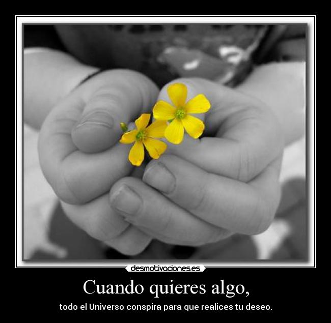 Cuando quieres algo, -