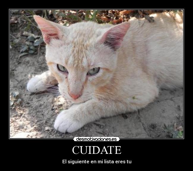 CUIDATE - El siguiente en mi lista eres tu