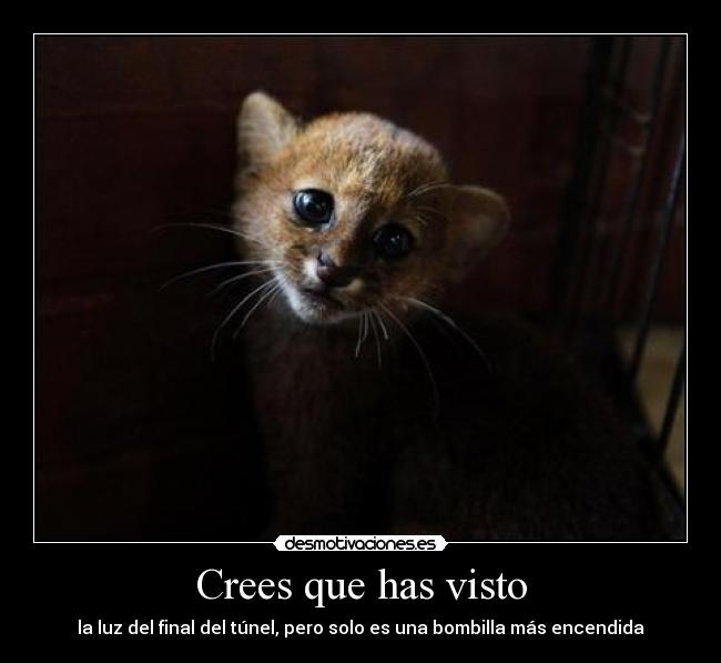 carteles borsan aunque creas quiero desmotivaciones