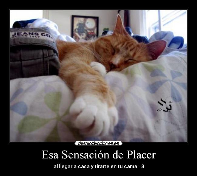 Esa Sensación de Placer - al llegar a casa y tirarte en tu cama =3