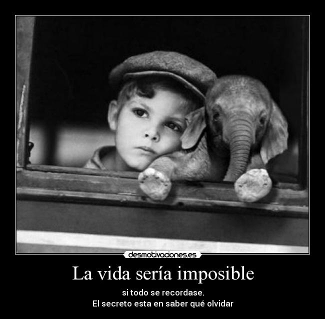 carteles vida imposible olvidar para vivir imprescindible dannymartin26 desmotivaciones