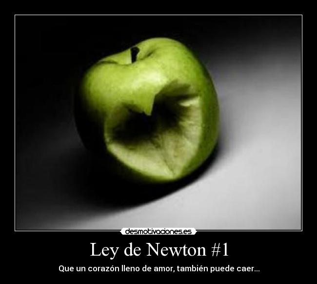 carteles ley newton corzaon lleno amor dannymartin26 desmotivaciones