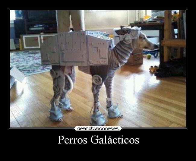 Perros Galácticos -
