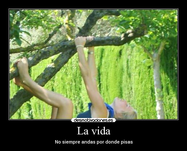 carteles vida muguet gorina desmotivaciones