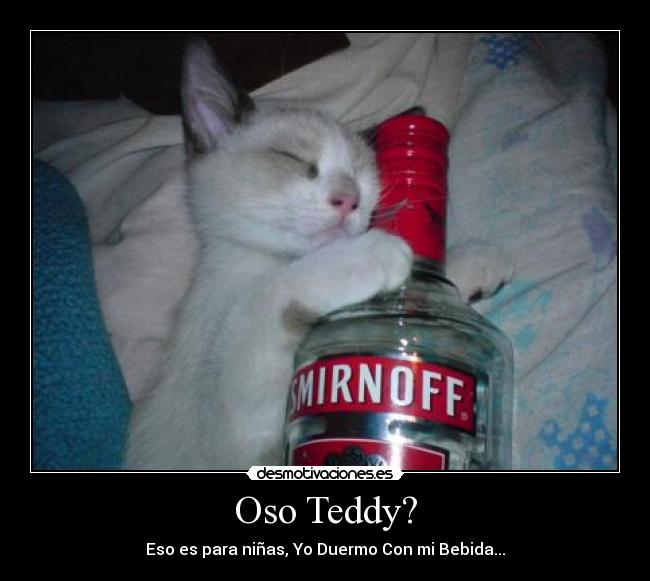 Oso Teddy? -