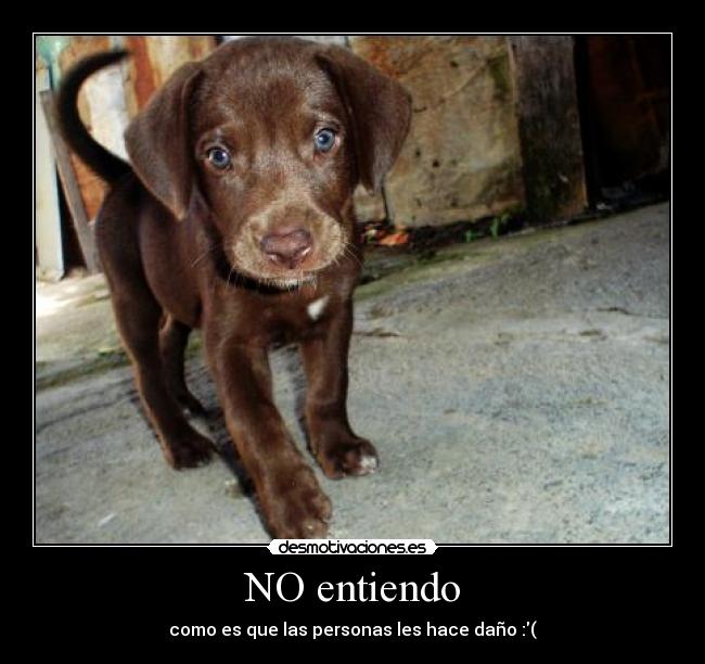 NO entiendo - 