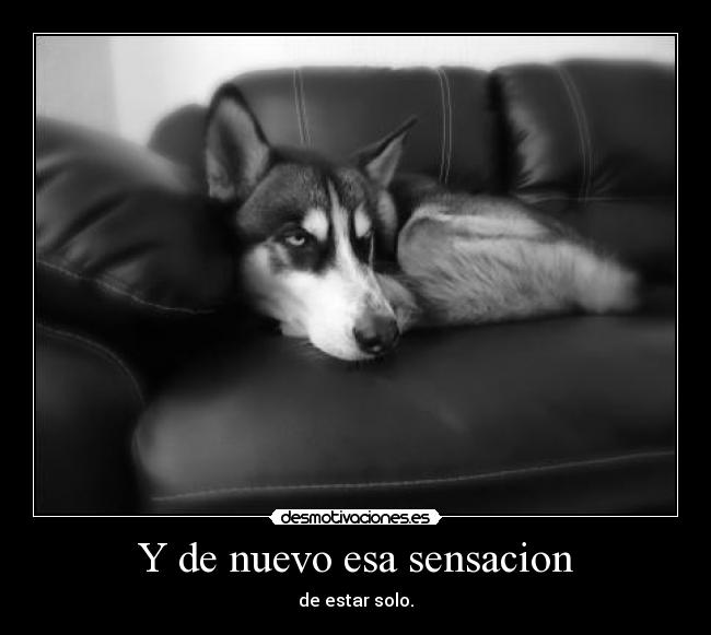 Y de nuevo esa sensacion -