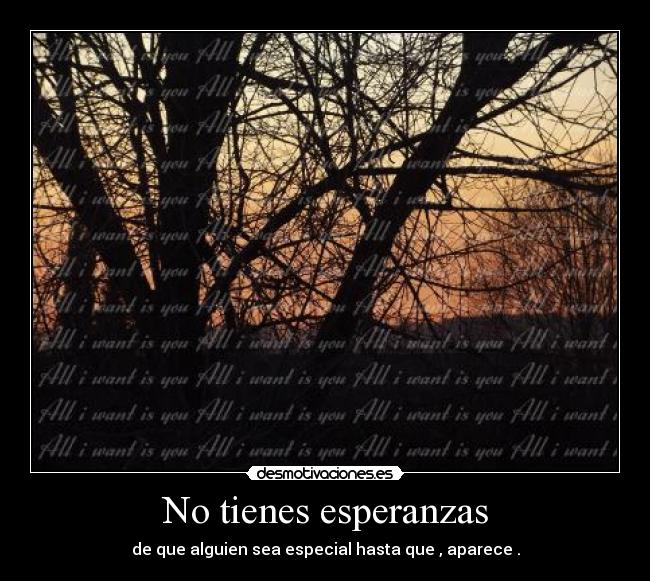 No tienes esperanzas - de que alguien sea especial hasta que , aparece .