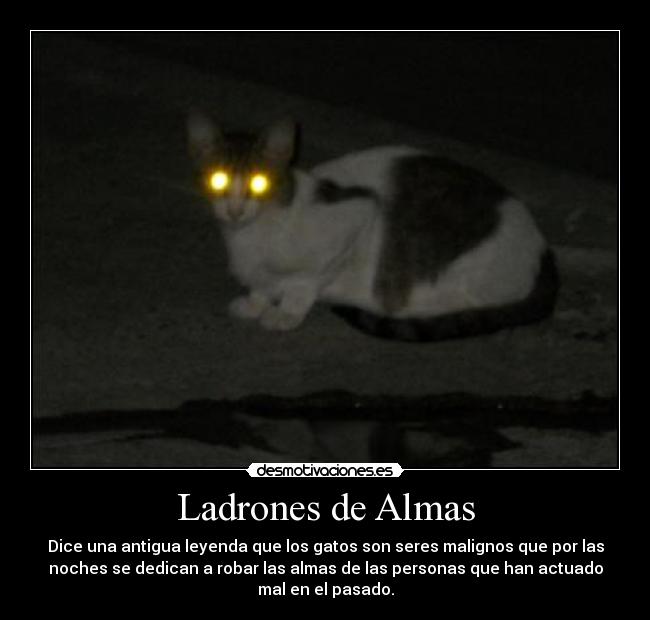 Ladrones de Almas - Dice una antigua leyenda que los gatos son seres malignos que por las
noches se dedican a robar las almas de las personas que han actuado
mal en el pasado.