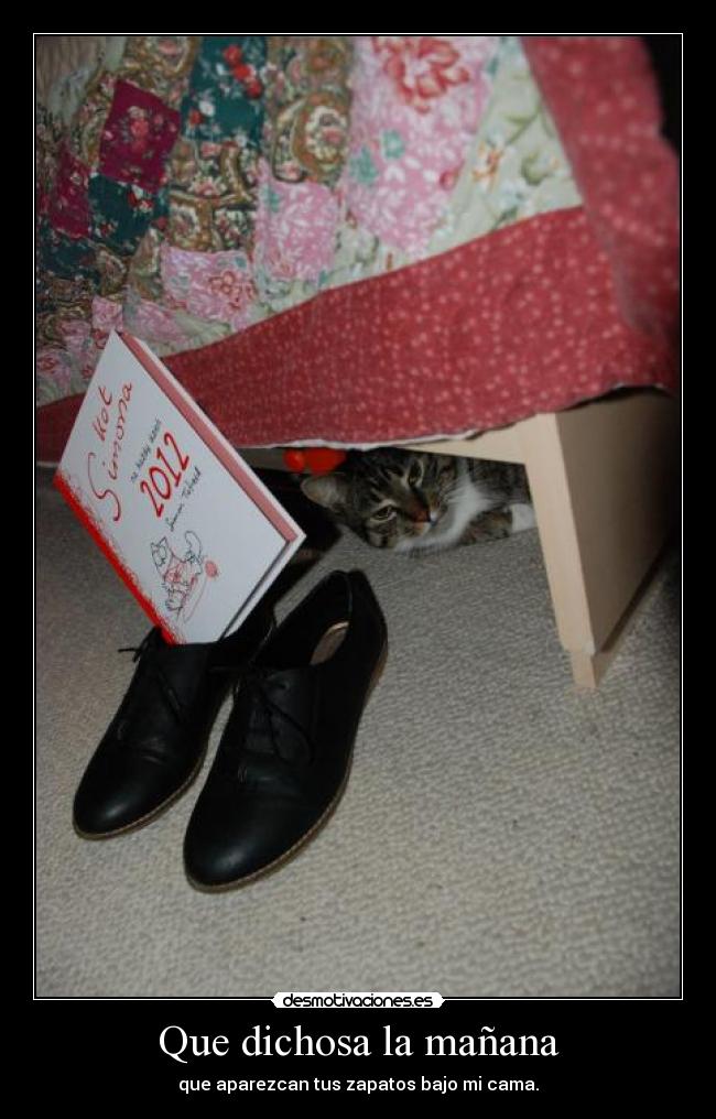 Que dichosa la mañana - que aparezcan tus zapatos bajo mi cama.