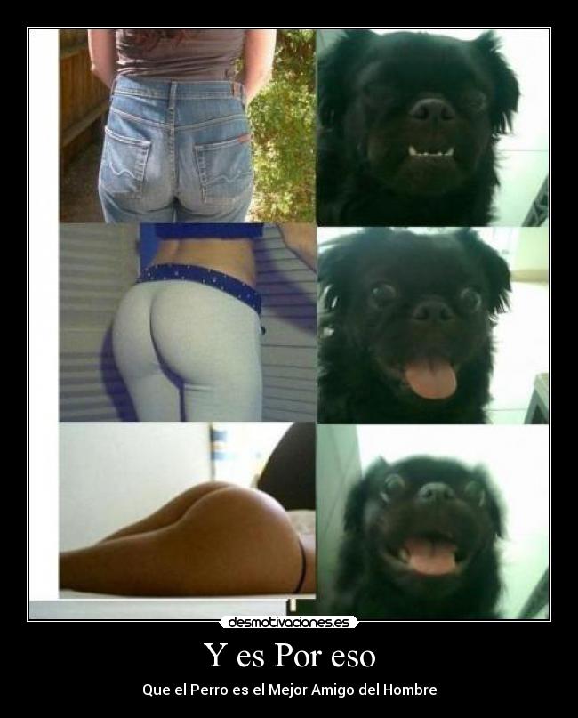 Y es Por eso - Que el Perro es el Mejor Amigo del Hombre