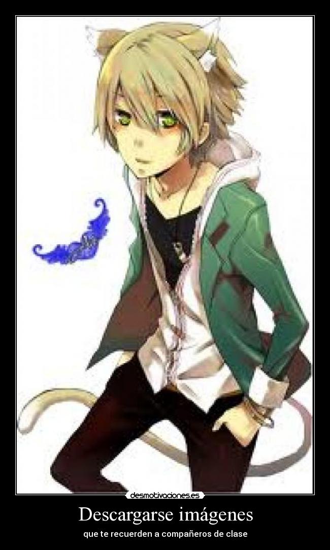 Descargarse imágenes -