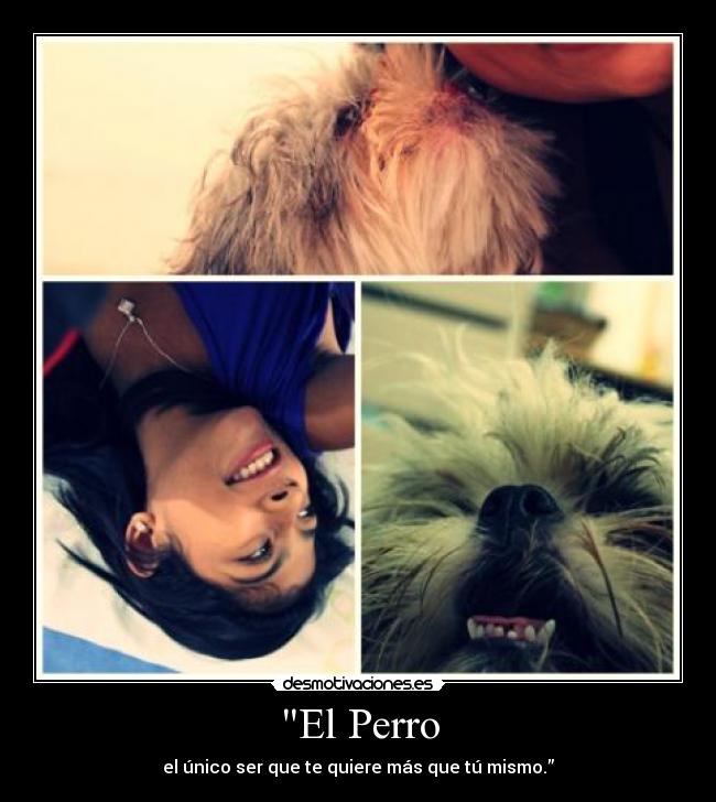 El Perro - el único ser que te quiere más que tú mismo.”