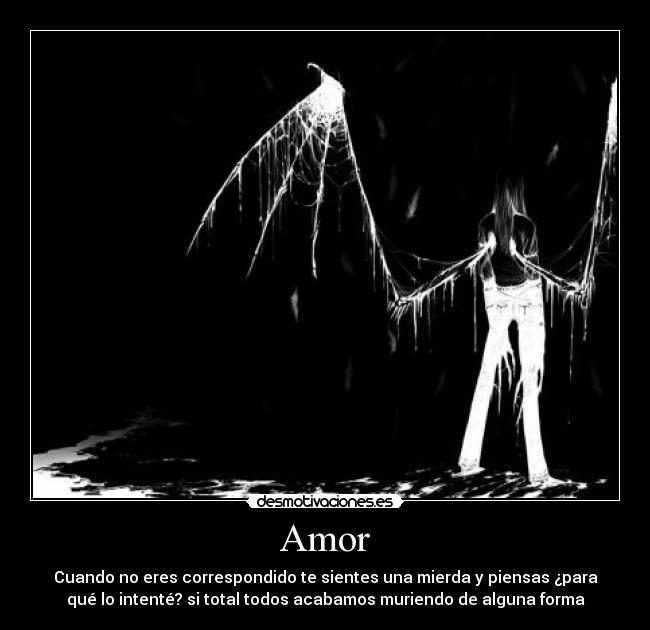 Amor -