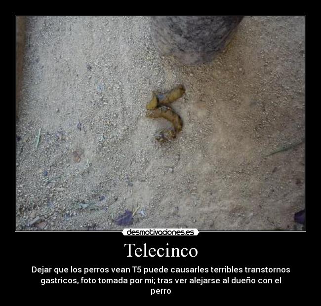 Telecinco - Dejar que los perros vean T5 puede causarles terribles transtornos
gastricos, foto tomada por mi; tras ver alejarse al dueño con el
perro