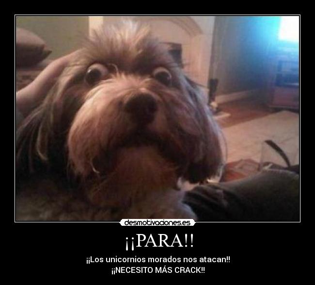 ¡¡PARA!! - 