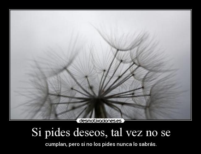 Si pides deseos, tal vez no se - cumplan, pero si no los pides nunca lo sabrás.