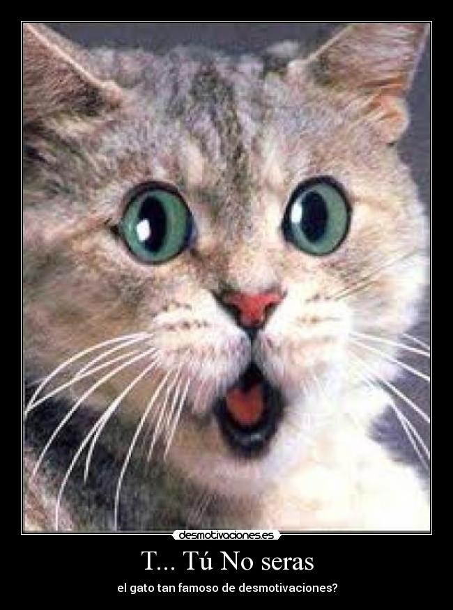T... Tú No seras - el gato tan famoso de desmotivaciones?