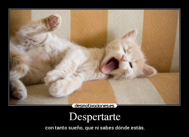 Despertarte - con tanto sueño, que ni sabes dónde estás.