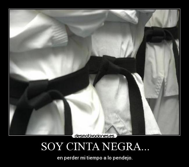 carteles soy cinta negra desmotivaciones