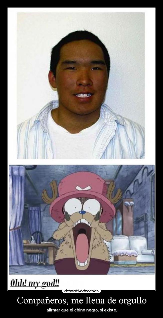 Compañeros, me llena de orgullo - afirmar que el chino negro, si existe.