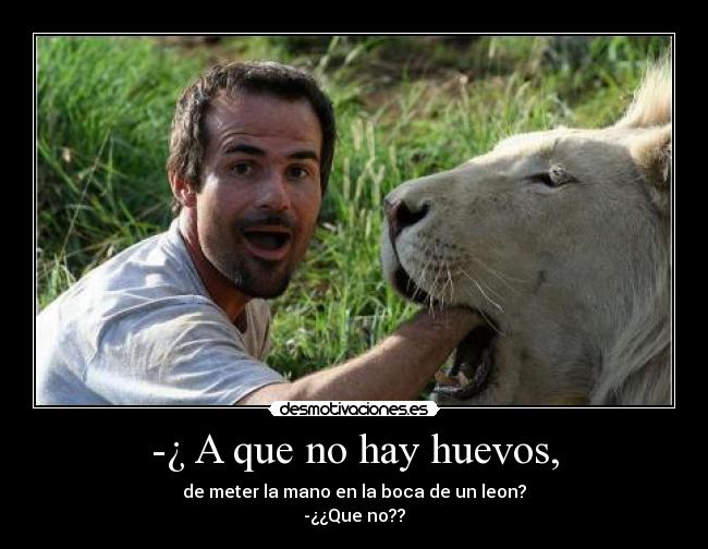 -¿ A que no hay huevos, - de meter la mano en la boca de un leon?
-¿¿Que no??
