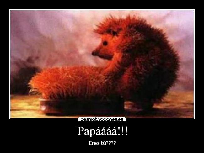 carteles puercoespin desmotivaciones