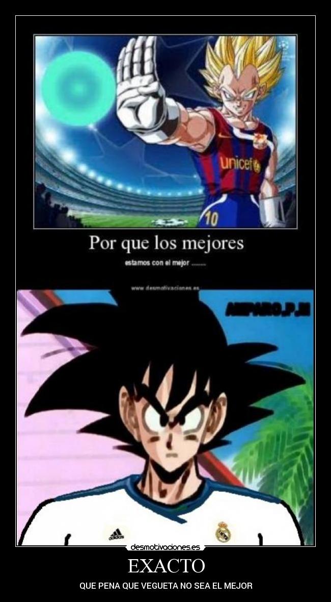 EXACTO - QUE PENA QUE VEGUETA NO SEA EL MEJOR