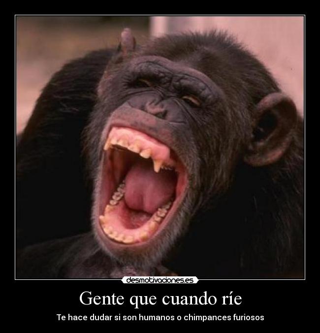 Gente que cuando ríe - Te hace dudar si son humanos o chimpances furiosos