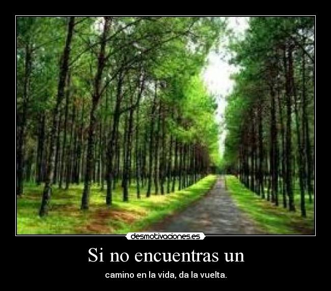 Si no encuentras un - camino en la vida, da la vuelta.